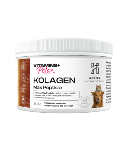 6bf3b3c453ba4a4224a6fd241146c663