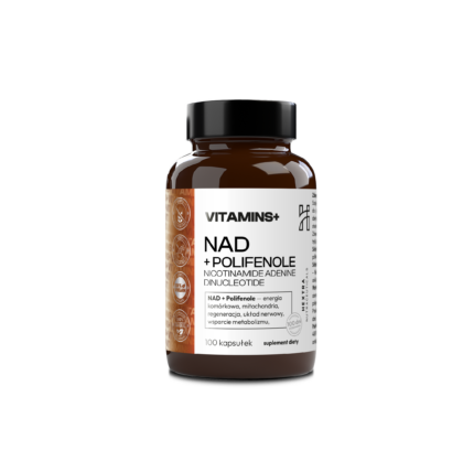 5c4dca8fc8811fd0ae4e6f0b20edd596